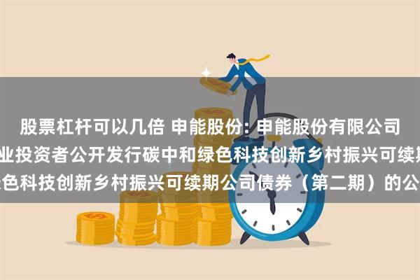 股票杠杆可以几倍 申能股份: 申能股份有限公司关于完成2024年面向专业投资者公开发行碳中和绿色科技创新乡村振兴可续期公司债券（第二期）的公告