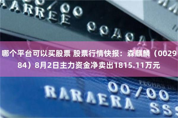 哪个平台可以买股票 股票行情快报：森麒麟（002984）8月2日主力资金净卖出1815.11万元