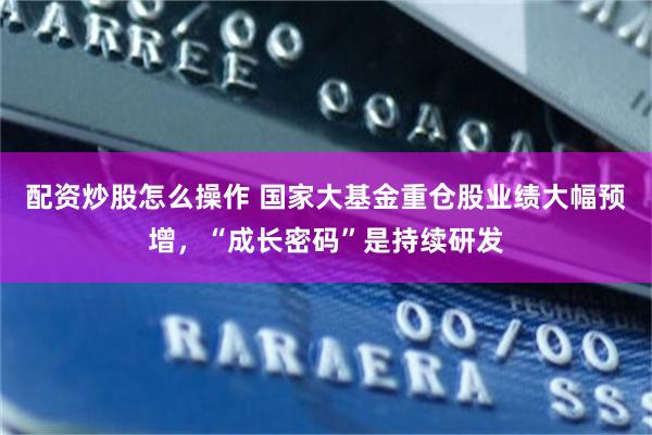 配资炒股怎么操作 国家大基金重仓股业绩大幅预增，“成长密码”是持续研发