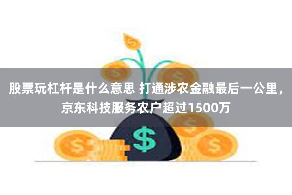 股票玩杠杆是什么意思 打通涉农金融最后一公里，京东科技服务农