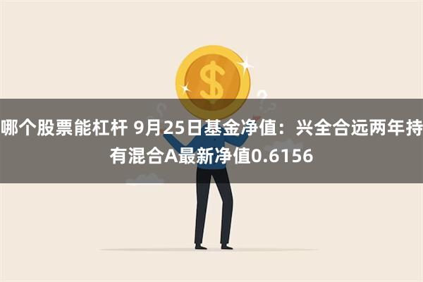 哪个股票能杠杆 9月25日基金净值：兴全合远两年持有混合A最