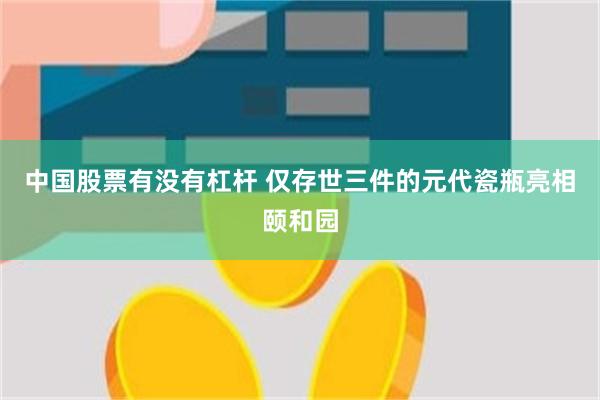 中国股票有没有杠杆 仅存世三件的元代瓷瓶亮相颐和园