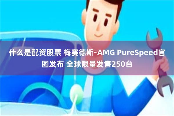 什么是配资股票 梅赛德斯-AMG PureSpeed官图发布 全球限量发售250台