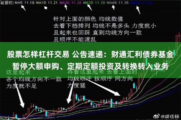 股票怎样杠杆交易 公告速递：财通汇利债券基金暂停大额申购、定期定额投资及转换转入业务