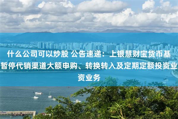 什么公司可以炒股 公告速递：上银慧财宝货币基金暂停代销渠道大额申购、转换转入及定期定额投资业务