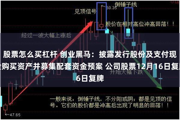 股票怎么买杠杆 创业黑马：披露发行股份及支付现金购买资产并募集配套资金预案 公司股票12月16日复牌