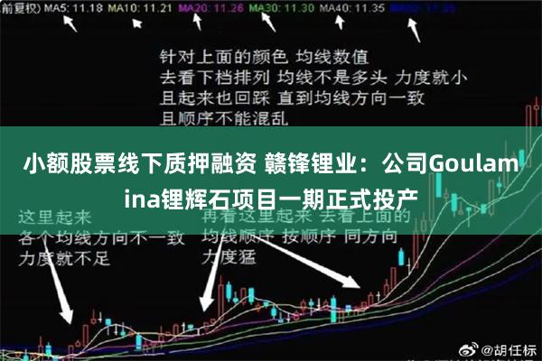 小额股票线下质押融资 赣锋锂业：公司Goulamina锂辉石项目一期正式投产