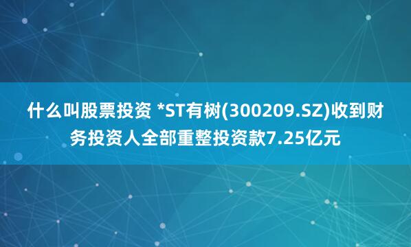 什么叫股票投资 *ST有树(300209.SZ)收到财务投资人全部重整投资款7.25亿元