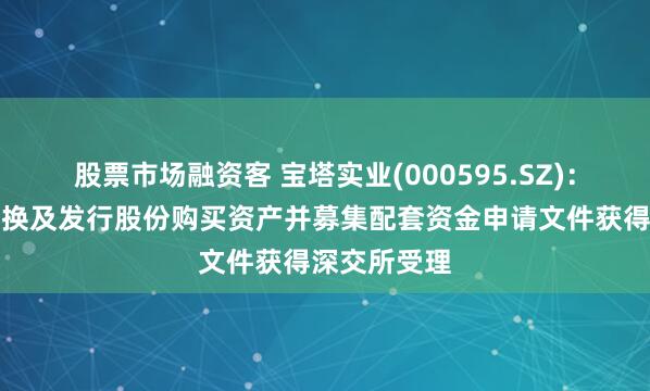 股票市场融资客 宝塔实业(000595.SZ)：重大资产置换及发行股份购买资产并募集配套资金申请文件获得深交所受理