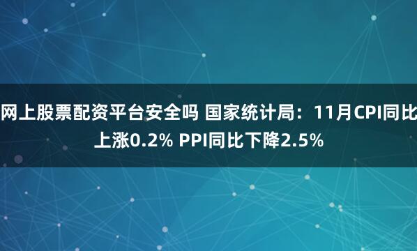 网上股票配资平台安全吗 国家统计局：11月CPI同比上涨0.2% PPI同比下降2.5%