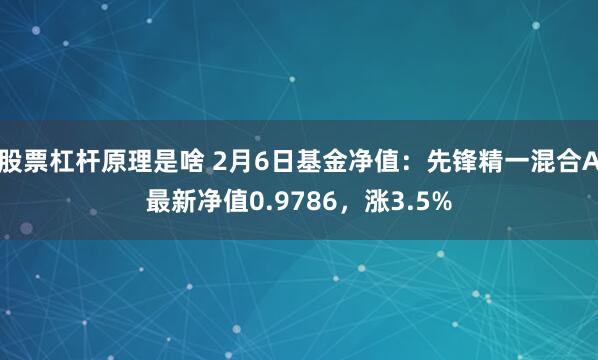 股票杠杆原理是啥 2月6日基金净值：先锋精一混合A最新净值0.9786，涨3.5%