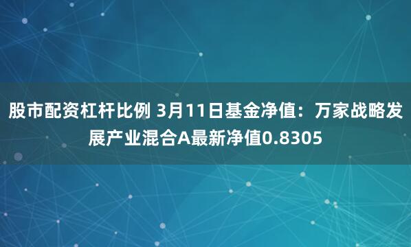 股市配资杠杆比例 3月11日基金净值：万家战略发展产业混合A最新净值0.8305